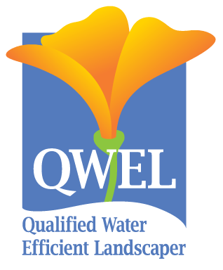 qwel logo transparent